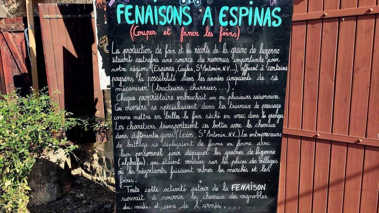 Espinas - Fete Fenaisons - 60.jpg
